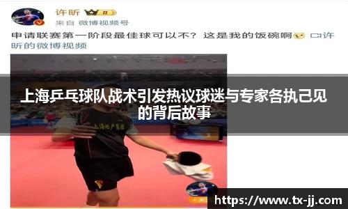 上海乒乓球队战术引发热议球迷与专家各执己见的背后故事