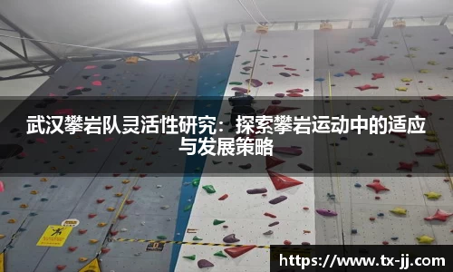 武汉攀岩队灵活性研究：探索攀岩运动中的适应与发展策略