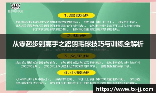从零起步到高手之路羽毛球技巧与训练全解析
