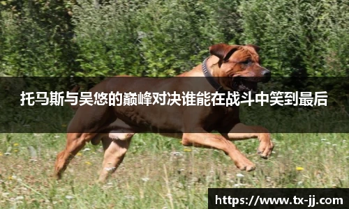 托马斯与吴悠的巅峰对决谁能在战斗中笑到最后